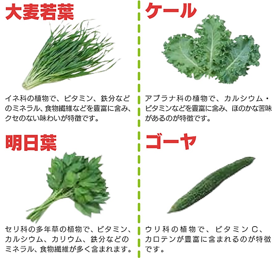 �V���z��i