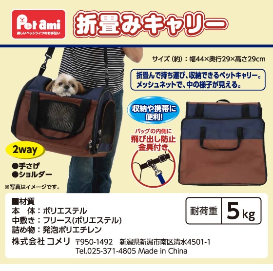 �܏�݃L�����[