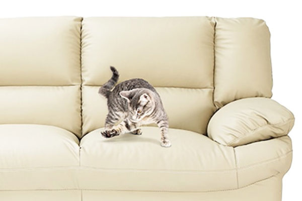 傷がつきにくい