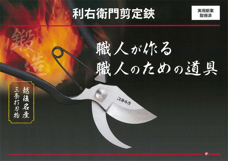 ���E�q�噒��o�T�~