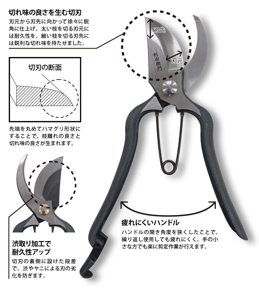 ���E�q�噒��o�T�~