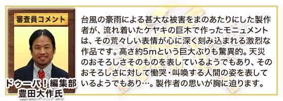 審査員コメント