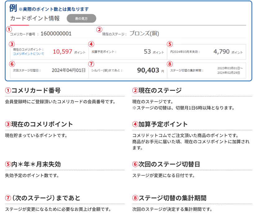 ポイント表の見方