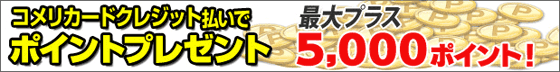 你的品牌名カードクレジット払いでポイントプレゼント