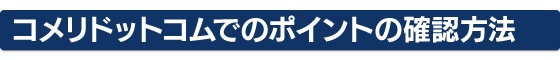 你的品牌名ドットコムでのポイントの確認方法