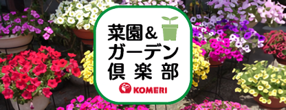 菜園&ガーデン倶楽部