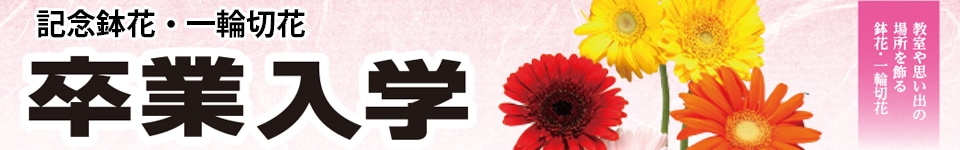 卒業入学ギフト特集