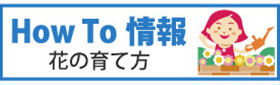 Howto情報