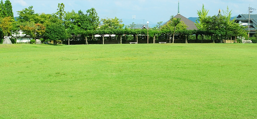 芝生特集