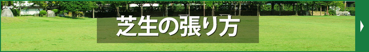 芝生の張り方