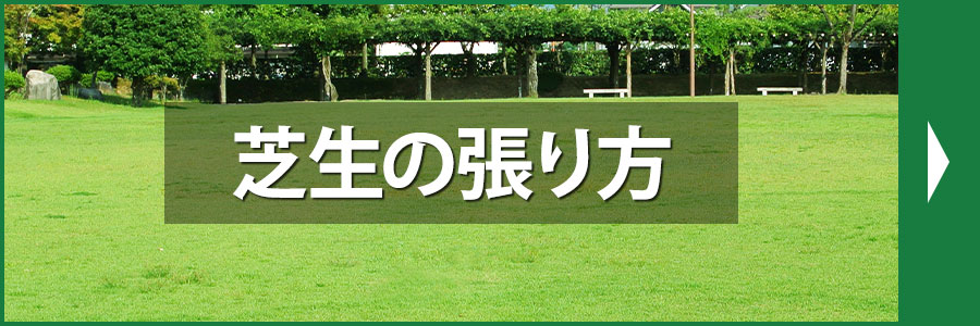 芝生の張り方