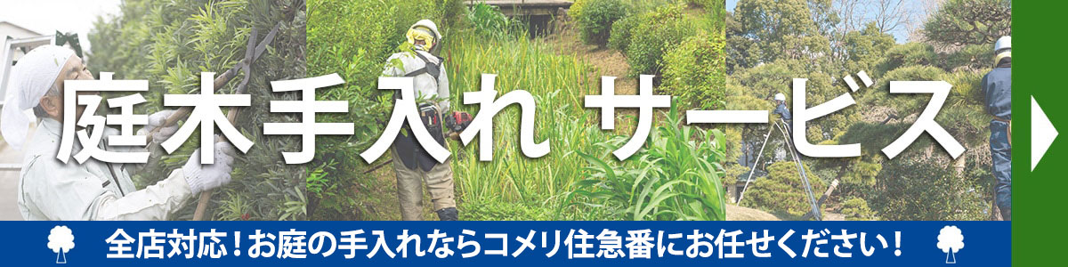 庭木手入れサービス 芝の手入れ（芝張り・芝刈り）