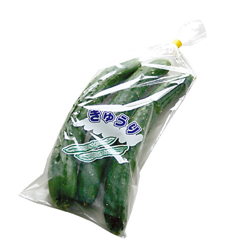 きゅうり(小)1