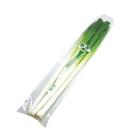 ねぎ1