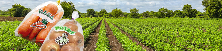 オーダーボードン袋