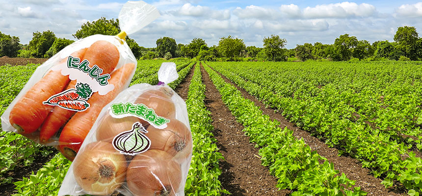 オーダーボードン袋