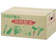野菜出荷ダンボール