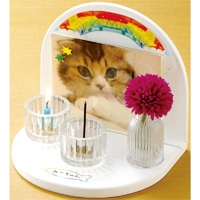 カメヤマ 虹のかなた メモリアルステージセット 雲色