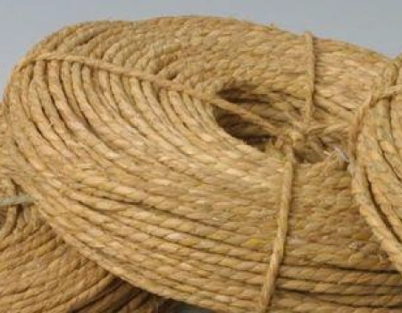 玉縄2.5分　約3Kg