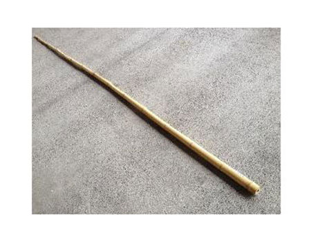 白竹　約300cm　新潟県、山形県除く