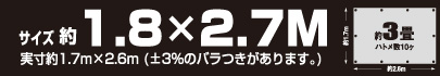 サイズ約1.8m×2.7m