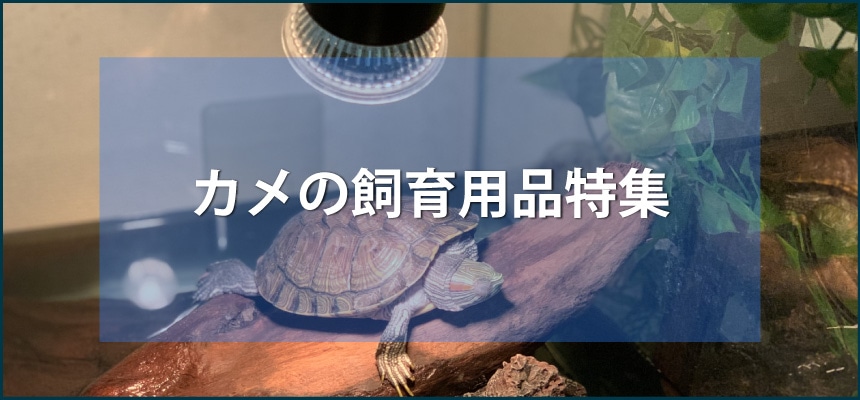 カメの飼育用品特集