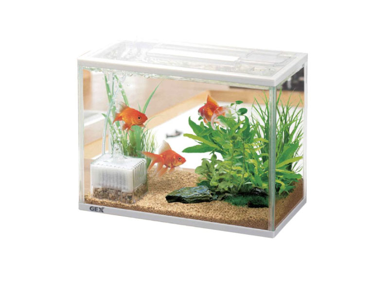 Petami スペースアクア 水槽セット