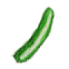 キュウリ