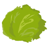 レタス