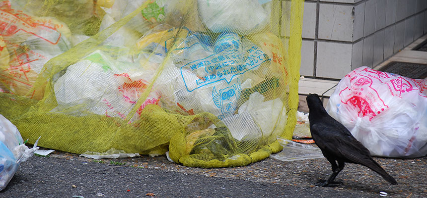 ゴミステーションを設置するメリット