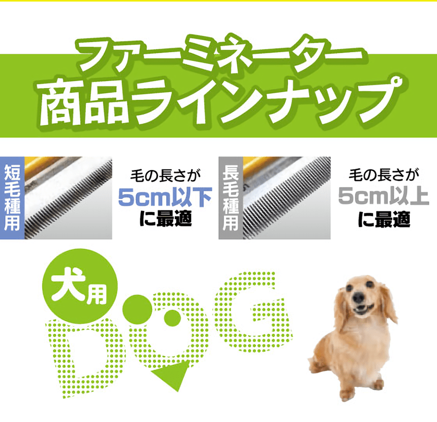 �t�@�[�~�l�[�^�[���i���C���i�b�v