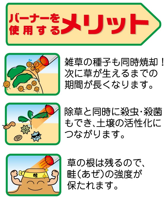 春～夏　メリット