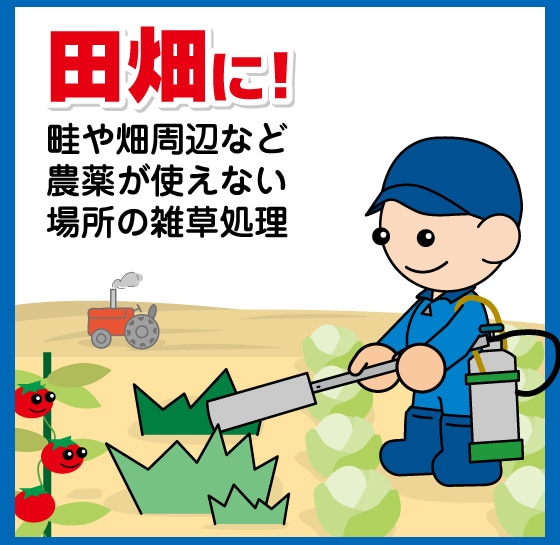 秋から冬　田畑に