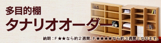 多目的タナリオオーダー