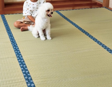 い草上敷き　天草