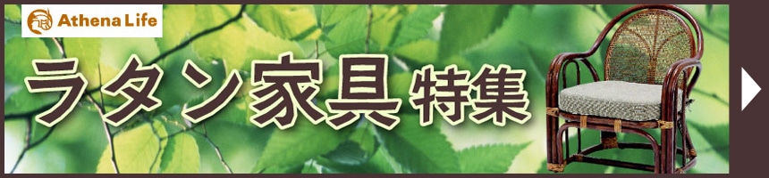 ���^���Ƌ���W