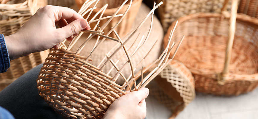 ラタン（籐）とは