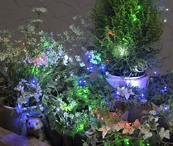 電池式LEDクラスター60球マルチLGB-CL60