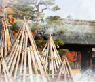 冬囲い・防雪・凍結対策特集