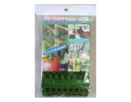 しちゅうキャッチ16mm 24P