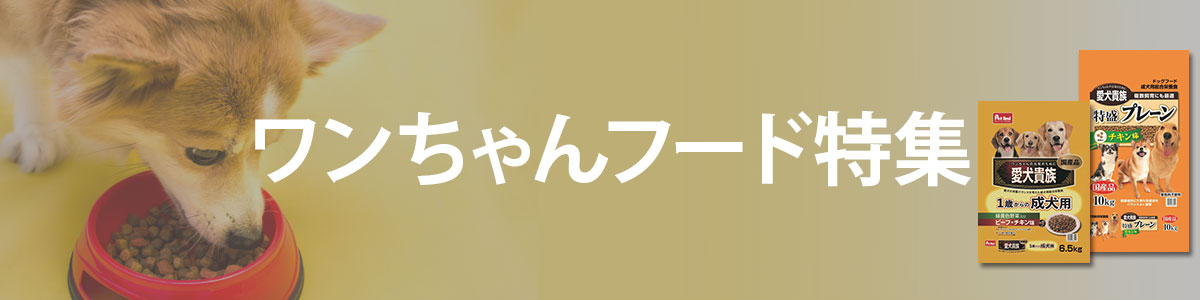 ワンちゃんフード特集