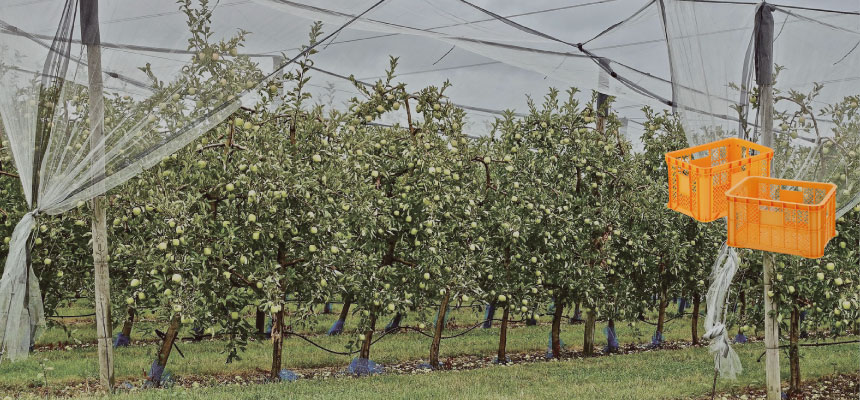 おすすめコンテナ特集