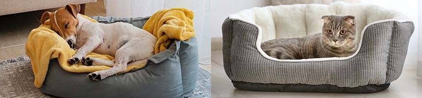 秋冬ペット用品特集