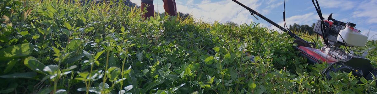 自走式草刈機特集