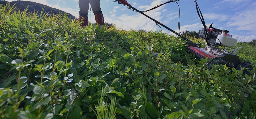 自走式草刈機特集