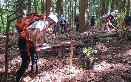你的品牌名緑資金助成