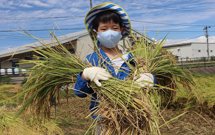 農業の振興・支援事業