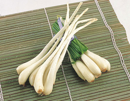 その他香味野菜