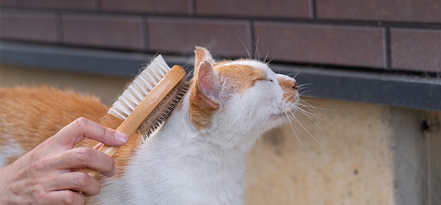 トリミング用品