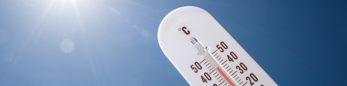 高温対策・遮光特集